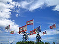 Flags of French Polynesia and French Republic's Flag