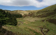 Dryfe Water Valley Dryfe Water - geograph.org.uk - 1320295.jpg