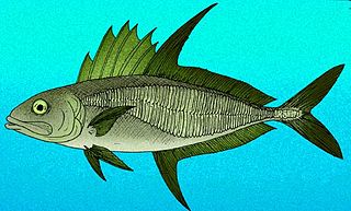 <i>Eastmanalepes</i> species of extinct fish