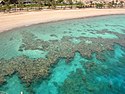 Fringing coral reef off the coast of Eilat, Israel.