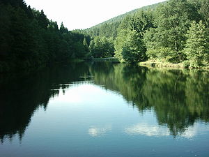 Blick vom Staudamm nach Norden