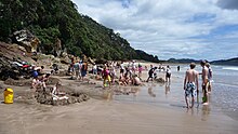 Excavations on Hot Water Beach -New Zealand-12Dec2008.jpg