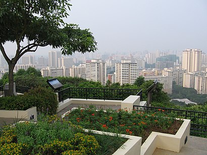 How to get to Mount Faber with public transport- About the place