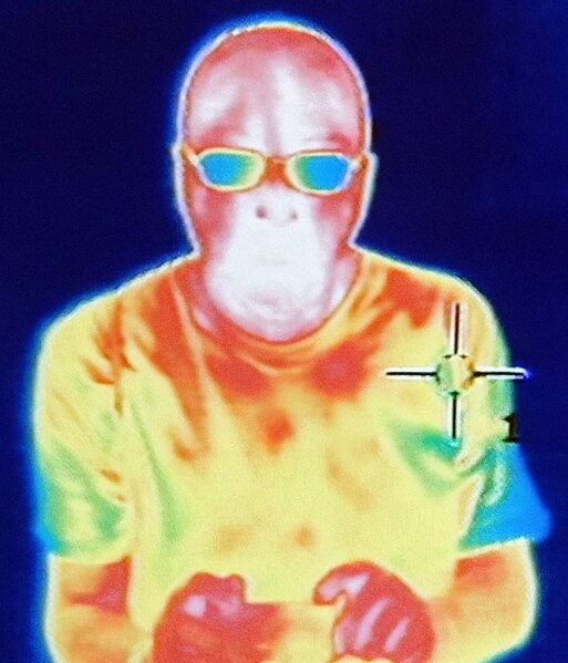 File:Fae with glasses on in mid-wavelength infrared at NHMW.jpg