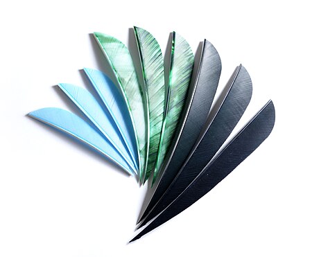 ไฟล์:Feathers_different_sizes.jpg