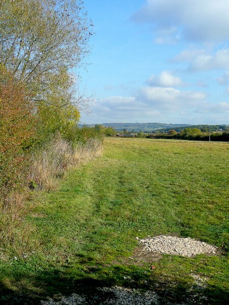 File:Field edge at Alderton Fields - geograph.org.uk - 1545095.jpg