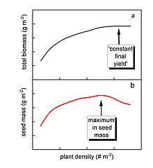 Effect of plant density on (a) total shoot mass and (b) seed mass per unit ground area. Schematised figure, inspired a.o. by experiments with maize by Li et al. (2015). Fig-Relation Biomass-vs-Density.jpg