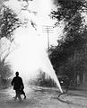 Fire hose on street, Montreal, about 1910.jpg