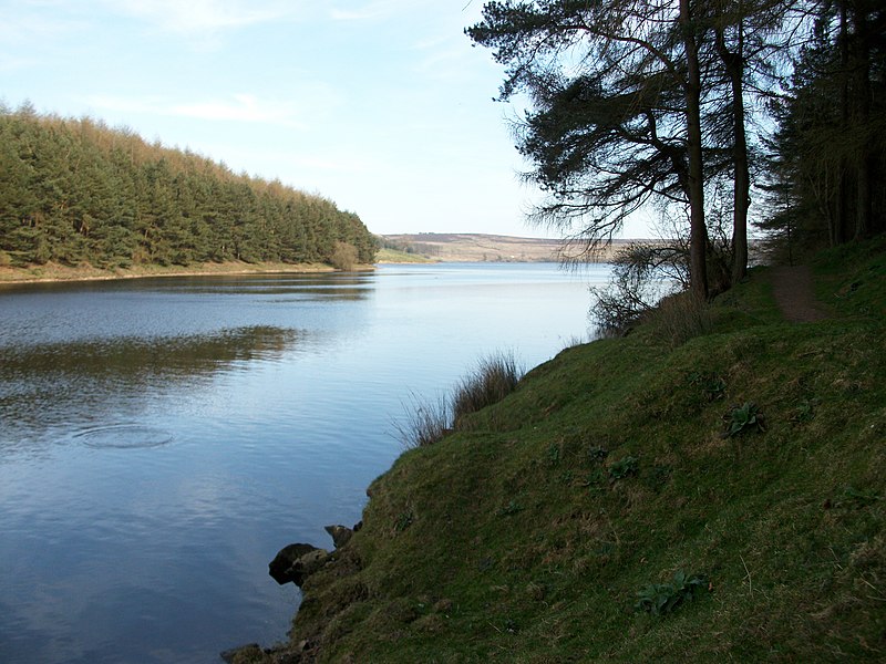 File:Fish Rising in Thruscross Reservoir - geograph.org.uk - 2875781.jpg