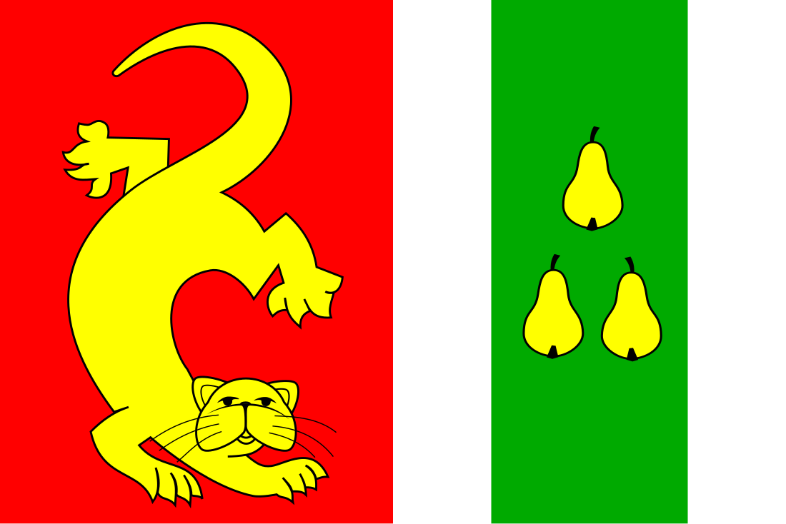 File:Flag of Vedrovice CZ.svg