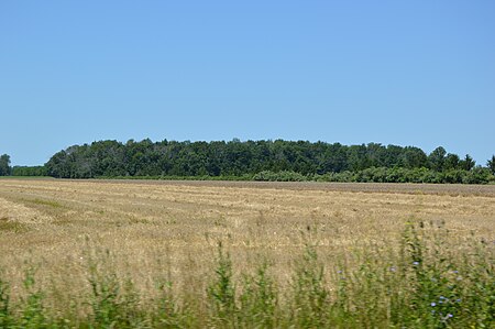 Flatrock Township stubble field