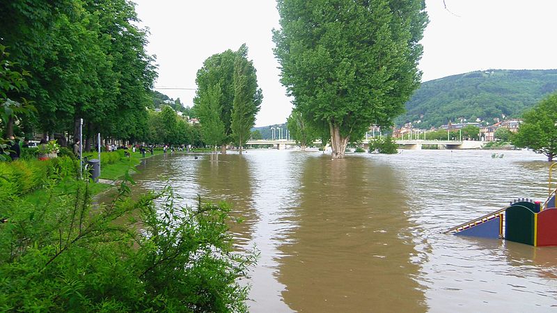 File:Flooded Neckarwiese Heidelberg.JPG