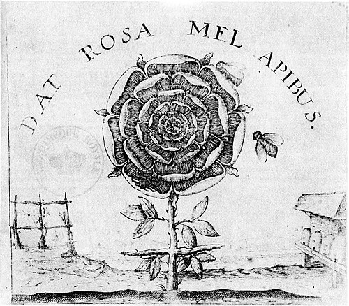 The Rose and the Cross: 薔薇が象徴的に描かれた薔薇十字文書『至高善』の扉絵
