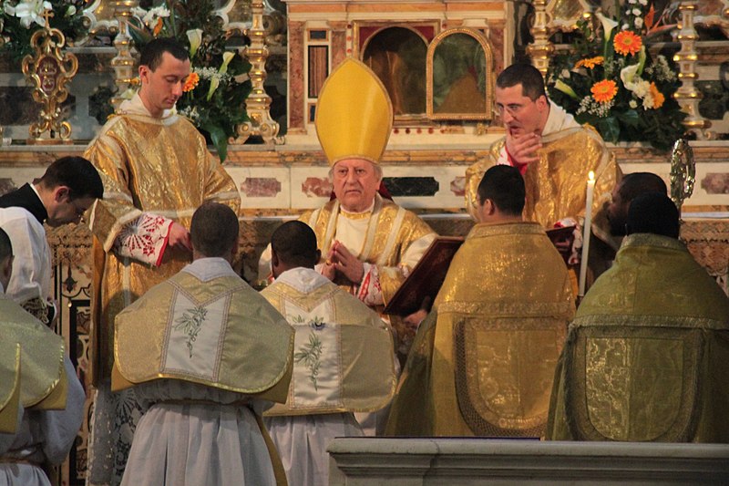 File:Franc Cardinal Rode ordination of priests 20100325.jpg