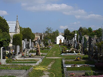 So kommt man zu Friedhof Rodaun mit den Öffentlichen - Mehr zum Ort Hier