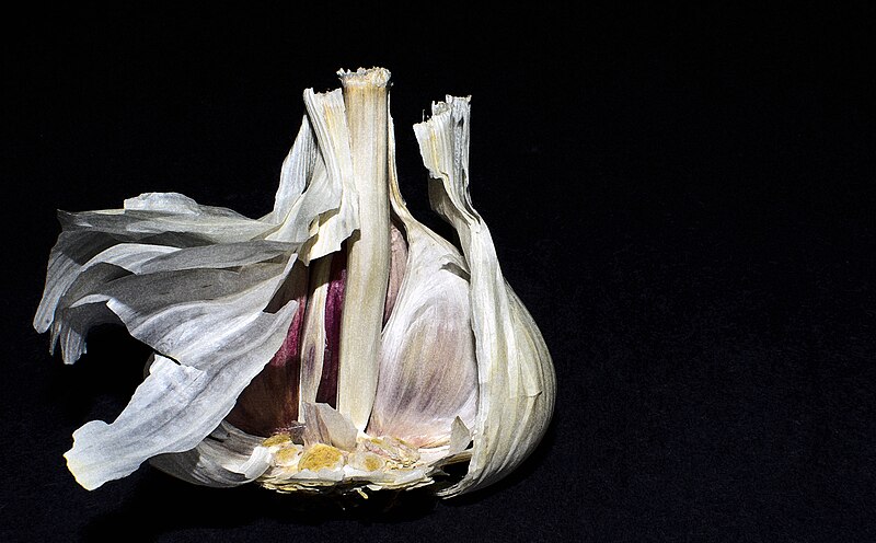 File:Garlic (8059921247).jpg