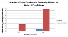 Populations with a high level of parental-relatedness result in a larger number of homozygous gene knockouts as compared to outbred populations. Gene Knockouts in Outbred vs. Parentally-related populations.jpg