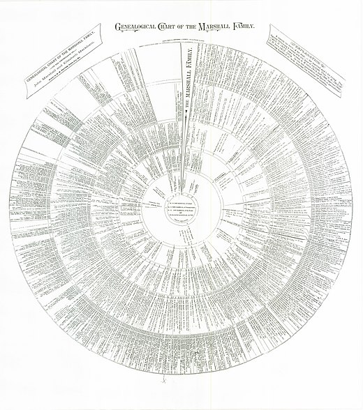 Genealogical Chart of the Marshall Family, showing near center, right, at 50.1 "John Marshall Ch. J."