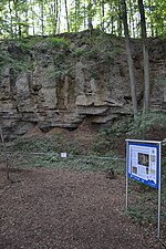 Miniatuur voor Bestand:Geologische Orgeln Oberschroffen 2015 4.JPG