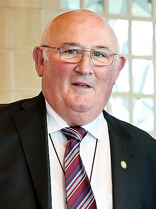 <span class="mw-page-title-main">Gerard Craughwell</span> Irish politician (born 1953)