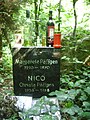 Nico's grave, 2010