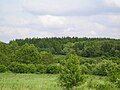 Polski: Użytek ekologiczny "Warpie pod Gieraską" English: Habitat protection area "Warpie pod Gieraską" Deutsch: Biotopschutzgebiet "Warpie pod Gieraską"