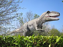 A Giganotosaurus model Giganotosaurus .jpg