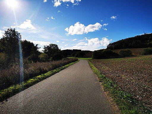 Gissigheimer Straße zwischen Dittwar und Gissigheim 5