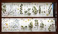 * Nomination Glass Flowers at the Harvard Museum of Natural History --Rhododendrites 01:44, 19 July 2022 (UTC) * Promotion  Support Good quality. --XRay 04:30, 19 July 2022 (UTC)