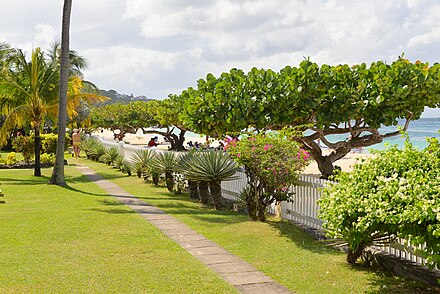 The beach is backed by hotel gardens