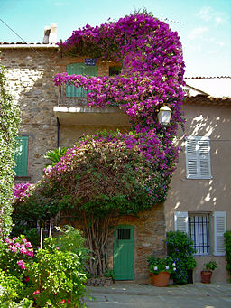 Grimaud-village-15