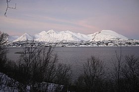 Bjarkøy