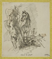 Horse, Standing next to a Tree