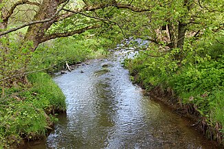 Der Rothenbach bei Laad (Gemeinde Hattert)