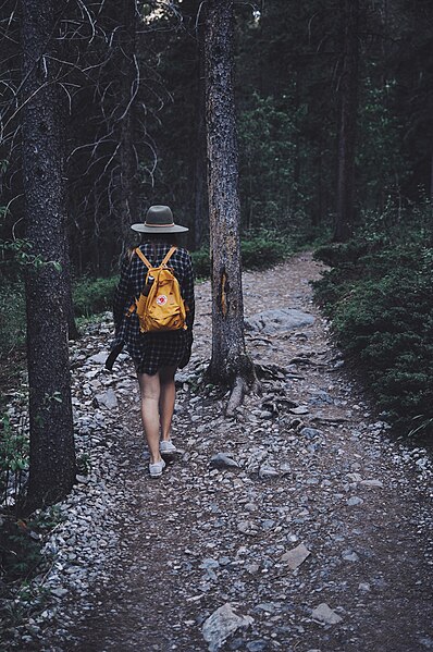 File:Hiking on a rocky forest trail (Unsplash).jpg