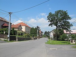 Road through the village