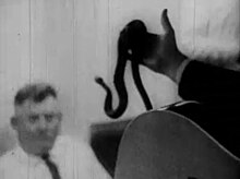 Snake handling in the Holy Ghost People documentary Holy Ghost People still.jpg