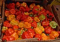 Scotch bonnet peppers in a Caribbean market