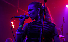 I-Wolf and the Chainreactions at Fluc Wanne WAVES VIENNA 2013 12.jpg