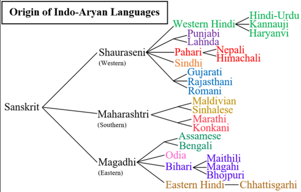 Public indo. Indo Aryan. Indo Aryan languages. Индоарийские языки. Индоарийские языки карта.