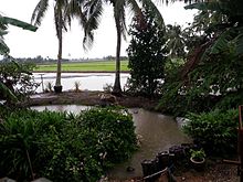 Sawah Sempadan during rain