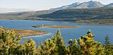 Zwergkiefern-Waldtundra im fernen Osten (Oblast Magadan)