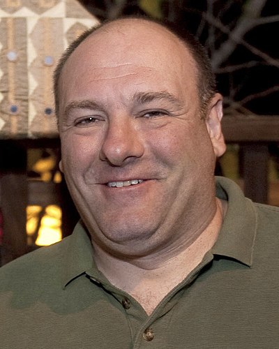 Gandolfini while on a USO tour in Kuwait City in 2010