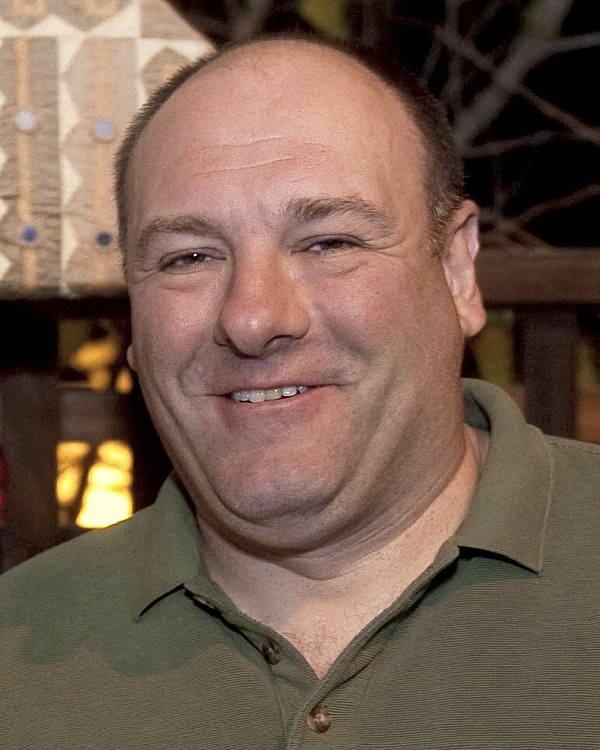 James Gandolfini, who died before Enough Said was released and to whom the film was dedicated, was commended for his performance.