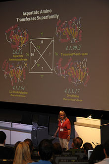Janet Thornton at the UniProt symposium, a satellite event to ECCB 2012 in Basel, giving a talk on molecular evolution. Janet Thornton giving a talk at the European Conference on Computational Biology 2012 in Basel.jpeg