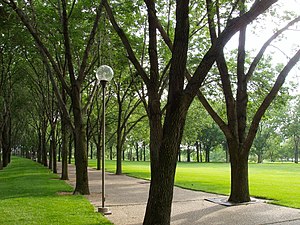 Gateway Arch National Park: Lage, Geschichte, Bauwerke und Einrichtungen der Gedenkstätte