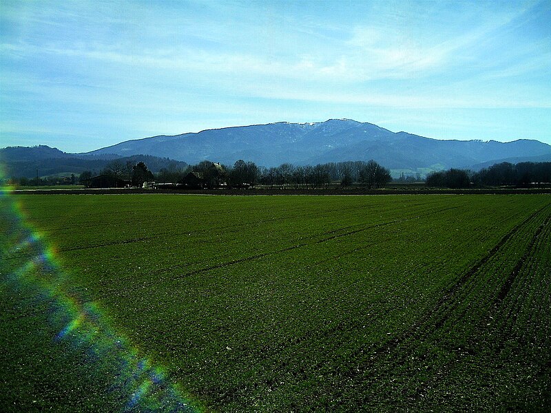 File:Kandel von Wasser gesehen - panoramio.jpg