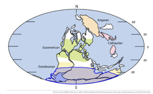 Approximate extent of the Karoo Glaciation (in blue), over the Gondwana supercontinent during the Carboniferous and Permian periods Karoo Glaciation.png