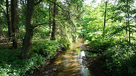 Katenbäke in Wildeshausen