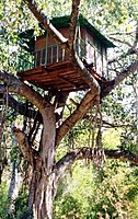 A treehouse in Marayur, Kerala, India[19]